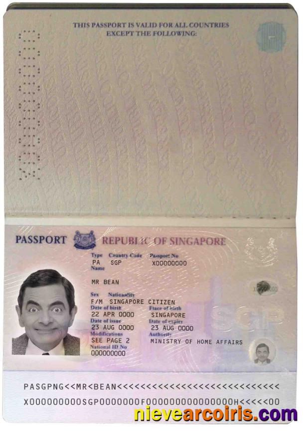 Singapore pass 2006-2017